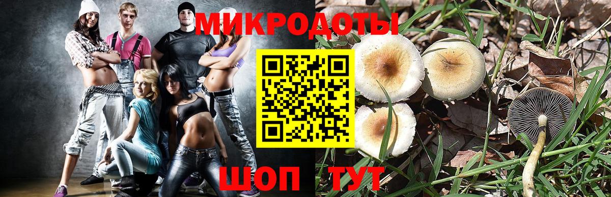 Петрозаводск  Галлюциногенные грибы Psilocybe  Вход с VPN  Галлюциногенные грибы мухоморы 