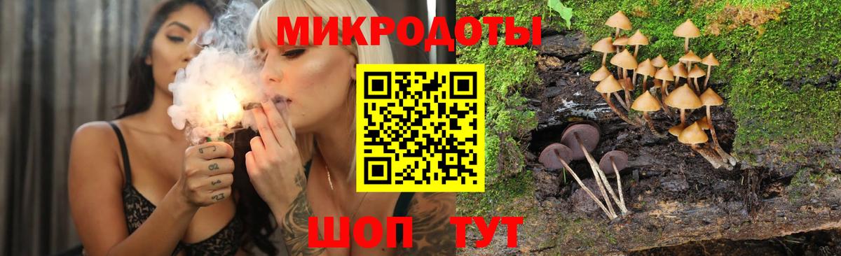 Псилоцибиновые грибы мухоморы Петрозаводск